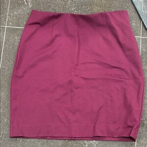 Taluna (Aritzia) Elegant Burgundy Women's Skirt